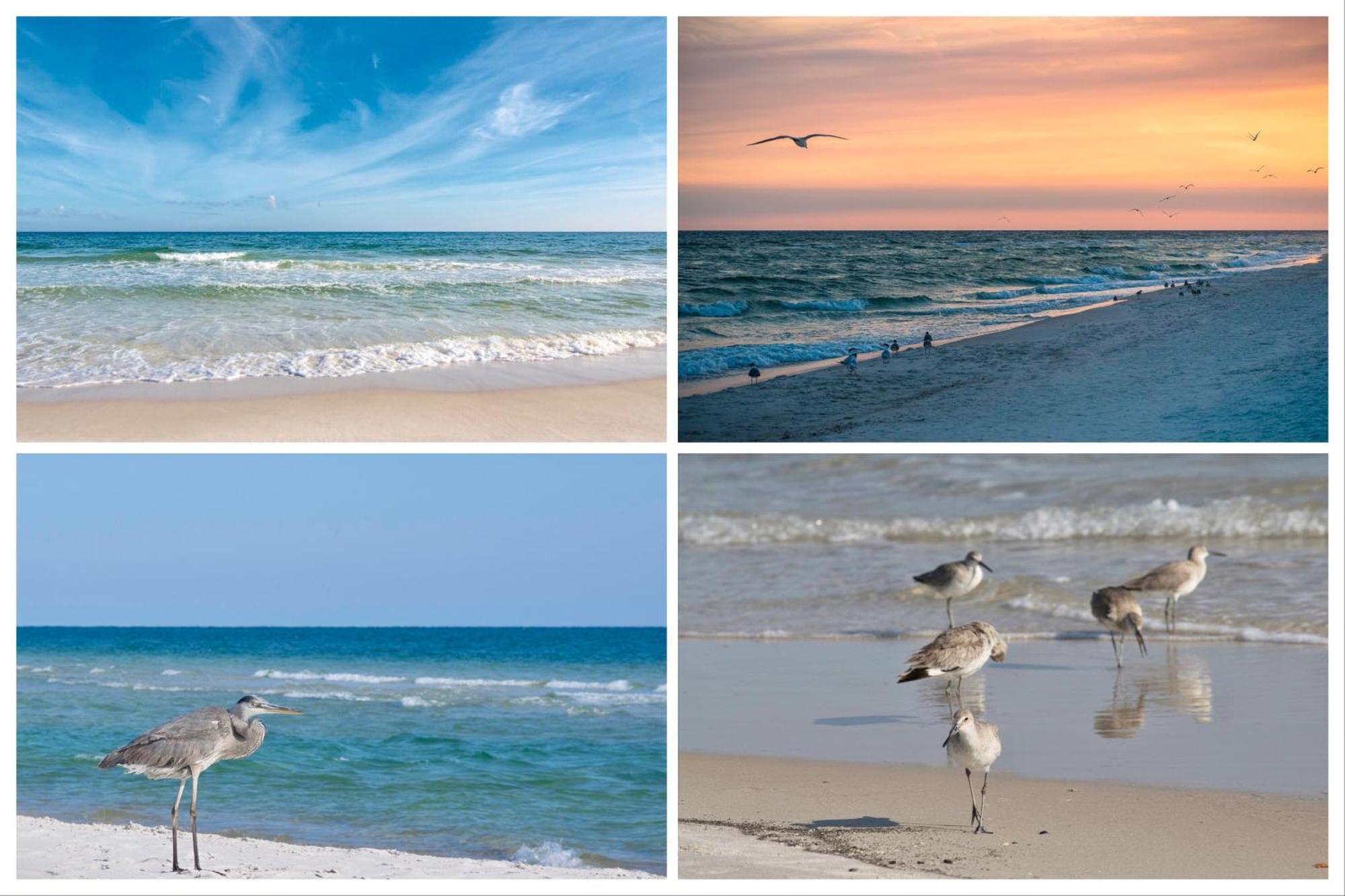 Island Winds East Unit 401 Villa Gulf Shores Kamer foto